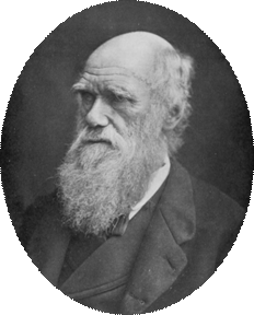 File:NIE 1905 Darwin Charles.png