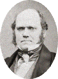File:Charles Darwin by Maull and Polyblank, 1855-crop.png